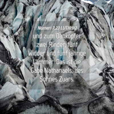 Picture 04 - Numeri 7:23 LUTH1912 - und zum Dankopfer zwei Rinder, fünf Widder und - Bible Verse Picture