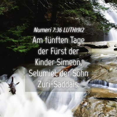 Picture 04 - Numeri 7:36 LUTH1912 - Am fünften Tage der Fürst der Kinder Simeon, - Bible Verse Picture