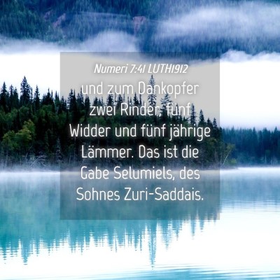 Picture 04 - Numeri 7:41 LUTH1912 - und zum Dankopfer zwei Rinder, fünf Widder und - Bible Verse Picture