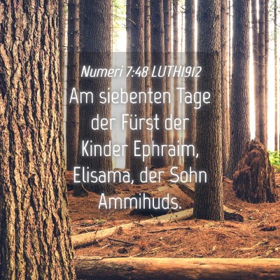 Picture 04 - Numeri 7:48 LUTH1912 - Am siebenten Tage der Fürst der Kinder Ephraim, - Bible Verse Picture