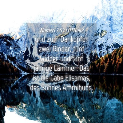 Picture 04 - Numeri 7:53 LUTH1912 - und zum Dankopfer zwei Rinder, fünf Widder und - Bible Verse Picture