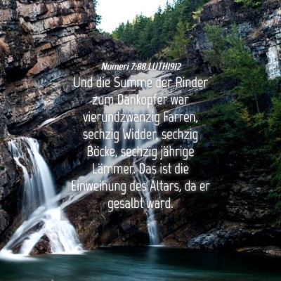 Picture 04 - Numeri 7:88 LUTH1912 - Und die Summe der Rinder zum Dankopfer war - Bible Verse Picture