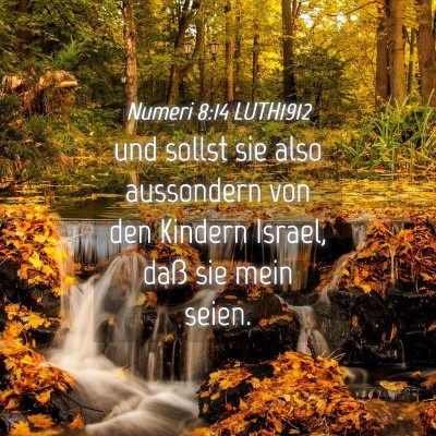 Picture 04 - Numeri 8:14 LUTH1912 - und sollst sie also aussondern von den Kindern - Bible Verse Picture