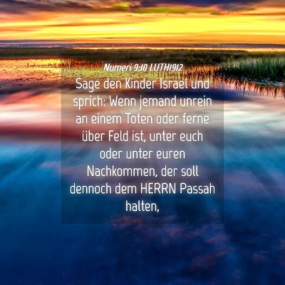Picture 04 - Numeri 9:10 LUTH1912 - Sage den Kinder Israel und sprich: Wenn jemand - Bible Verse Picture