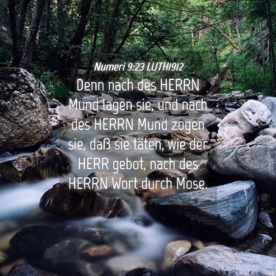 Picture 04 - Numeri 9:23 LUTH1912 - Denn nach des HERRN Mund lagen sie, und nach des - Bible Verse Picture