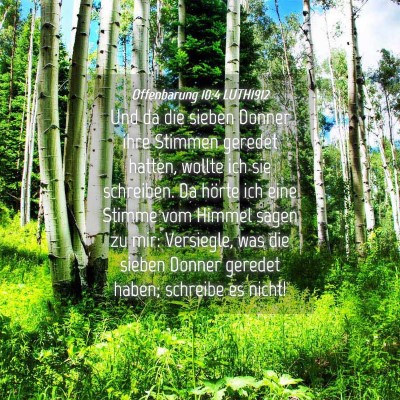 Picture 04 - Offenbarung 10:4 LUTH1912 - Und da die sieben Donner ihre Stimmen geredet - Bible Verse Picture
