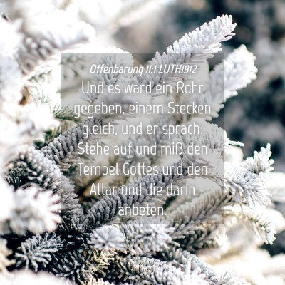 Picture 04 - Offenbarung 11:1 LUTH1912 - Und es ward ein Rohr gegeben, einem Stecken - Bible Verse Picture