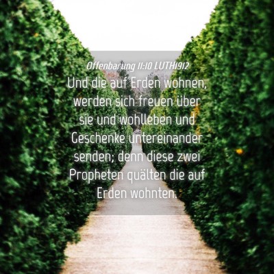 Picture 04 - Offenbarung 11:10 LUTH1912 - Und die auf Erden wohnen, werden sich freuen - Bible Verse Picture