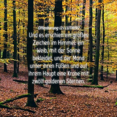 Picture 04 - Offenbarung 12:1 LUTH1912 - Und es erschien ein großes Zeichen im Himmel: - Bible Verse Picture