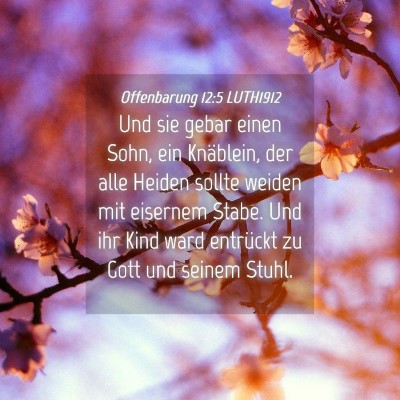 Picture 04 - Offenbarung 12:5 LUTH1912 - Und sie gebar einen Sohn, ein Knäblein, der alle - Bible Verse Picture