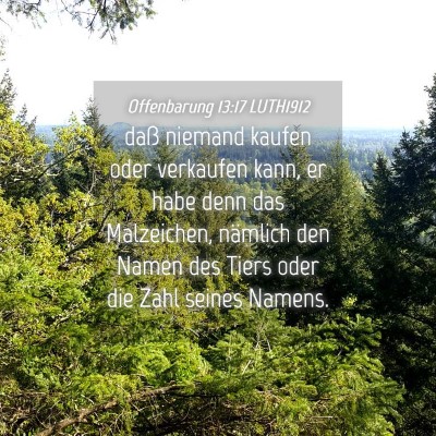 Picture 04 - Offenbarung 13:17 LUTH1912 - daß niemand kaufen oder verkaufen kann, er habe - Bible Verse Picture