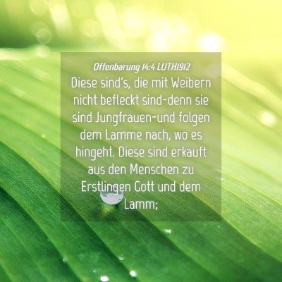 Picture 04 - Offenbarung 14:4 LUTH1912 - Diese sind's, die mit Weibern nicht befleckt - Bible Verse Picture