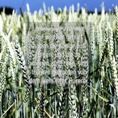 Picture 04 - Offenbarung 17:2 LUTH1912 - mit welcher gehurt haben die Könige auf Erden; - Bible Verse Picture