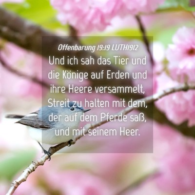Picture 04 - Offenbarung 19:19 LUTH1912 - Und ich sah das Tier und die Könige auf Erden - Bible Verse Picture