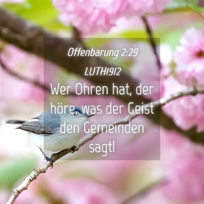 Picture 04 - Offenbarung 2:29 LUTH1912 - Wer Ohren hat, der höre, was der Geist den - Bible Verse Picture