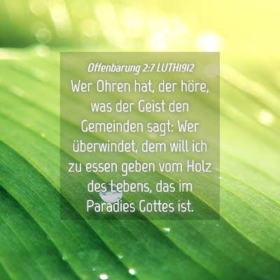 Picture 04 - Offenbarung 2:7 LUTH1912 - Wer Ohren hat, der höre, was der Geist den - Bible Verse Picture