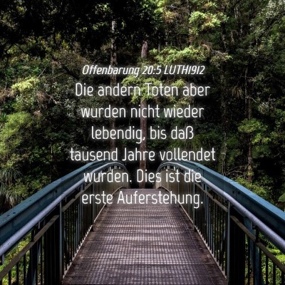 Picture 04 - Offenbarung 20:5 LUTH1912 - Die andern Toten aber wurden nicht wieder - Bible Verse Picture