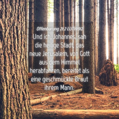 Picture 04 - Offenbarung 21:2 LUTH1912 - Und ich, Johannes, sah die heilige Stadt, das - Bible Verse Picture