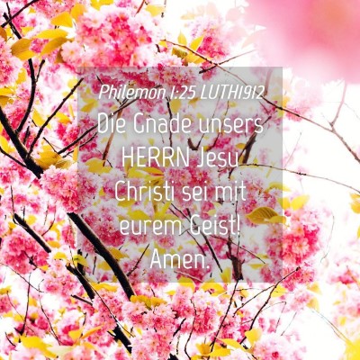 Picture 04 - Philemon 1:25 LUTH1912 - Die Gnade unsers HERRN Jesu Christi sei mit eurem - Bible Verse Picture