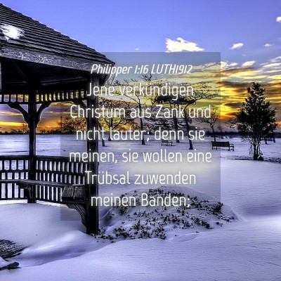 Picture 04 - Philipper 1:16 LUTH1912 - Jene verkündigen Christum aus Zank und nicht - Bible Verse Picture