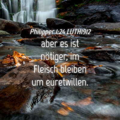 Picture 04 - Philipper 1:24 LUTH1912 - aber es ist nötiger, im Fleisch bleiben um - Bible Verse Picture