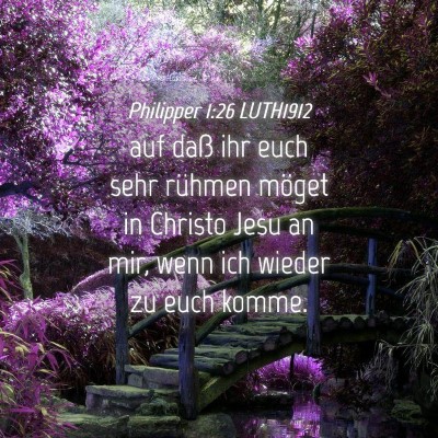 Picture 04 - Philipper 1:26 LUTH1912 - auf daß ihr euch sehr rühmen möget in Christo - Bible Verse Picture