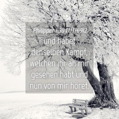 Picture 04 - Philipper 1:30 LUTH1912 - und habet denselben Kampf, welchen ihr an mir - Bible Verse Picture