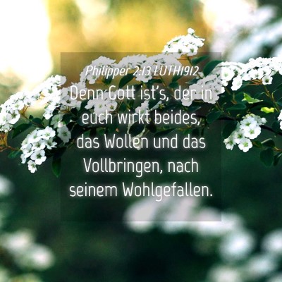 Picture 04 - Philipper 2:13 LUTH1912 - Denn Gott ist's, der in euch wirkt beides, das - Bible Verse Picture