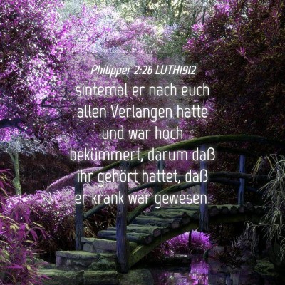 Picture 04 - Philipper 2:26 LUTH1912 - sintemal er nach euch allen Verlangen hatte und - Bible Verse Picture