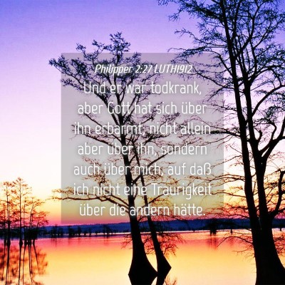 Picture 04 - Philipper 2:27 LUTH1912 - Und er war todkrank, aber Gott hat sich über ihn - Bible Verse Picture