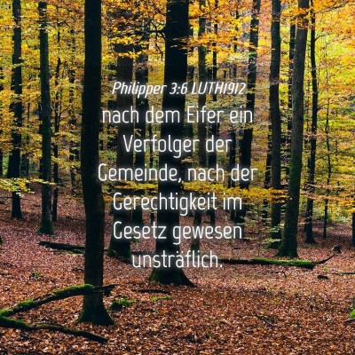 Picture 04 - Philipper 3:6 LUTH1912 - nach dem Eifer ein Verfolger der Gemeinde, nach - Bible Verse Picture