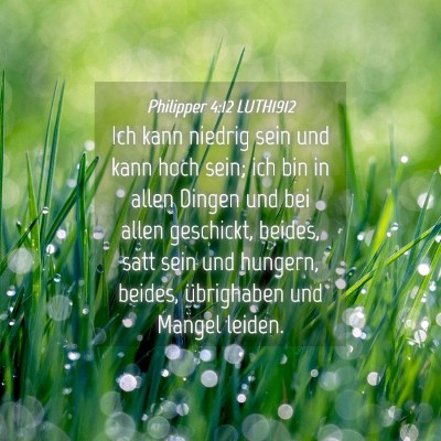 Picture 04 - Philipper 4:12 LUTH1912 - Ich kann niedrig sein und kann hoch sein; ich bin - Bible Verse Picture