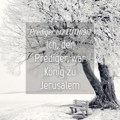Picture 04 - Prediger 1:12 LUTH1912 - Ich, der Prediger, war König zu - Bible Verse Picture