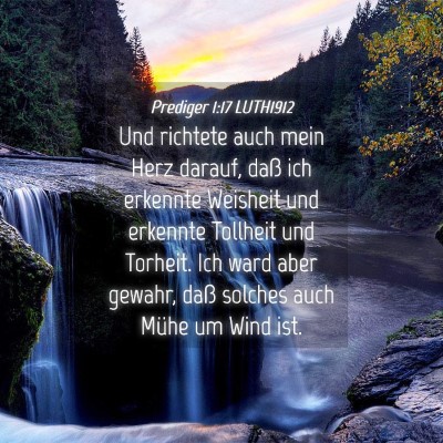 Picture 04 - Prediger 1:17 LUTH1912 - Und richtete auch mein Herz darauf, daß ich - Bible Verse Picture