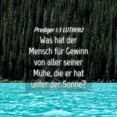 Picture 04 - Prediger 1:3 LUTH1912 - Was hat der Mensch für Gewinn von aller seiner - Bible Verse Picture