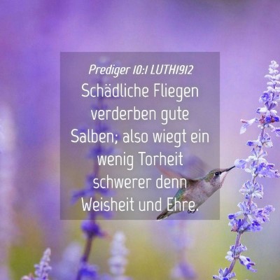 Picture 04 - Prediger 10:1 LUTH1912 - Schädliche Fliegen verderben gute Salben; also - Bible Verse Picture