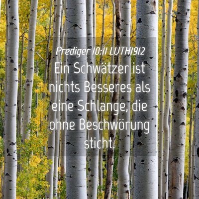 Picture 04 - Prediger 10:11 LUTH1912 - Ein Schwätzer ist nichts Besseres als eine - Bible Verse Picture