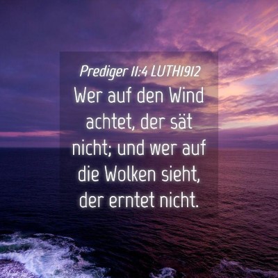 Picture 04 - Prediger 11:4 LUTH1912 - Wer auf den Wind achtet, der sät nicht; und wer - Bible Verse Picture