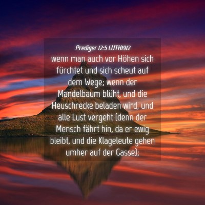 Picture 04 - Prediger 12:5 LUTH1912 - wenn man auch vor Höhen sich fürchtet und sich - Bible Verse Picture
