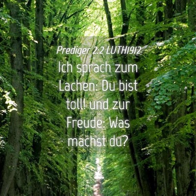 Picture 04 - Prediger 2:2 LUTH1912 - Ich sprach zum Lachen: Du bist toll! und zur - Bible Verse Picture