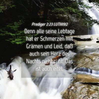Picture 04 - Prediger 2:23 LUTH1912 - Denn alle seine Lebtage hat er Schmerzen mit - Bible Verse Picture