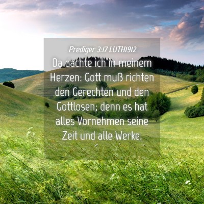 Picture 04 - Prediger 3:17 LUTH1912 - Da dachte ich in meinem Herzen: Gott muß richten - Bible Verse Picture