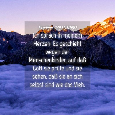 Picture 04 - Prediger 3:18 LUTH1912 - Ich sprach in meinem Herzen: Es geschieht wegen - Bible Verse Picture