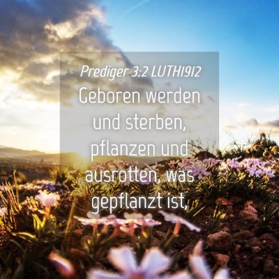 Picture 04 - Prediger 3:2 LUTH1912 - Geboren werden und sterben, pflanzen und - Bible Verse Picture