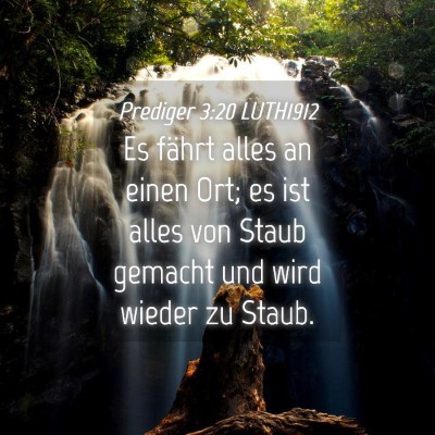 Picture 04 - Prediger 3:20 LUTH1912 - Es fährt alles an einen Ort; es ist alles von - Bible Verse Picture
