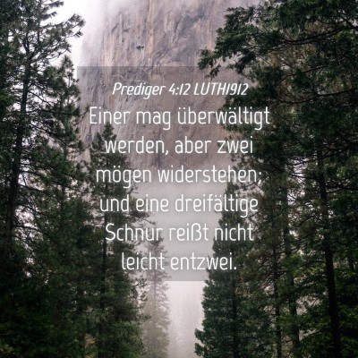 Picture 04 - Prediger 4:12 LUTH1912 - Einer mag überwältigt werden, aber zwei mögen - Bible Verse Picture