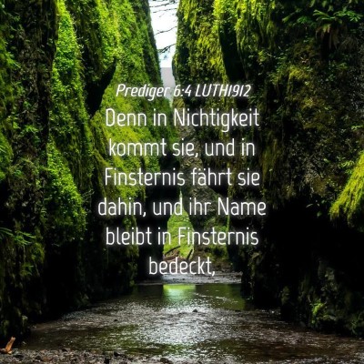 Picture 04 - Prediger 6:4 LUTH1912 - Denn in Nichtigkeit kommt sie, und in Finsternis - Bible Verse Picture