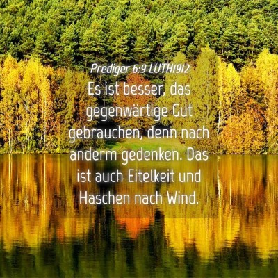 Picture 04 - Prediger 6:9 LUTH1912 - Es ist besser, das gegenwärtige Gut gebrauchen, - Bible Verse Picture