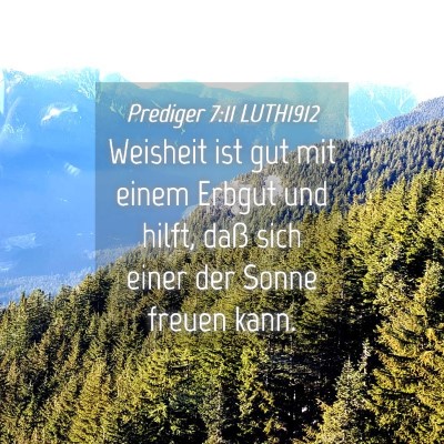 Picture 04 - Prediger 7:11 LUTH1912 - Weisheit ist gut mit einem Erbgut und hilft, daß - Bible Verse Picture