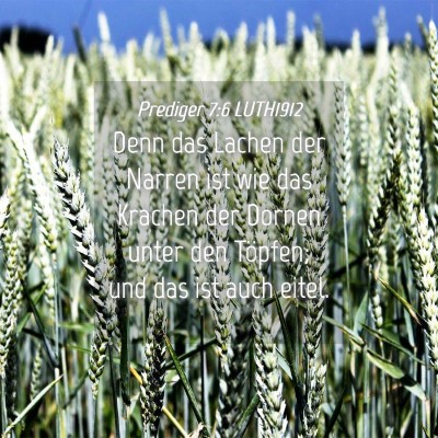 Picture 04 - Prediger 7:6 LUTH1912 - Denn das Lachen der Narren ist wie das Krachen - Bible Verse Picture